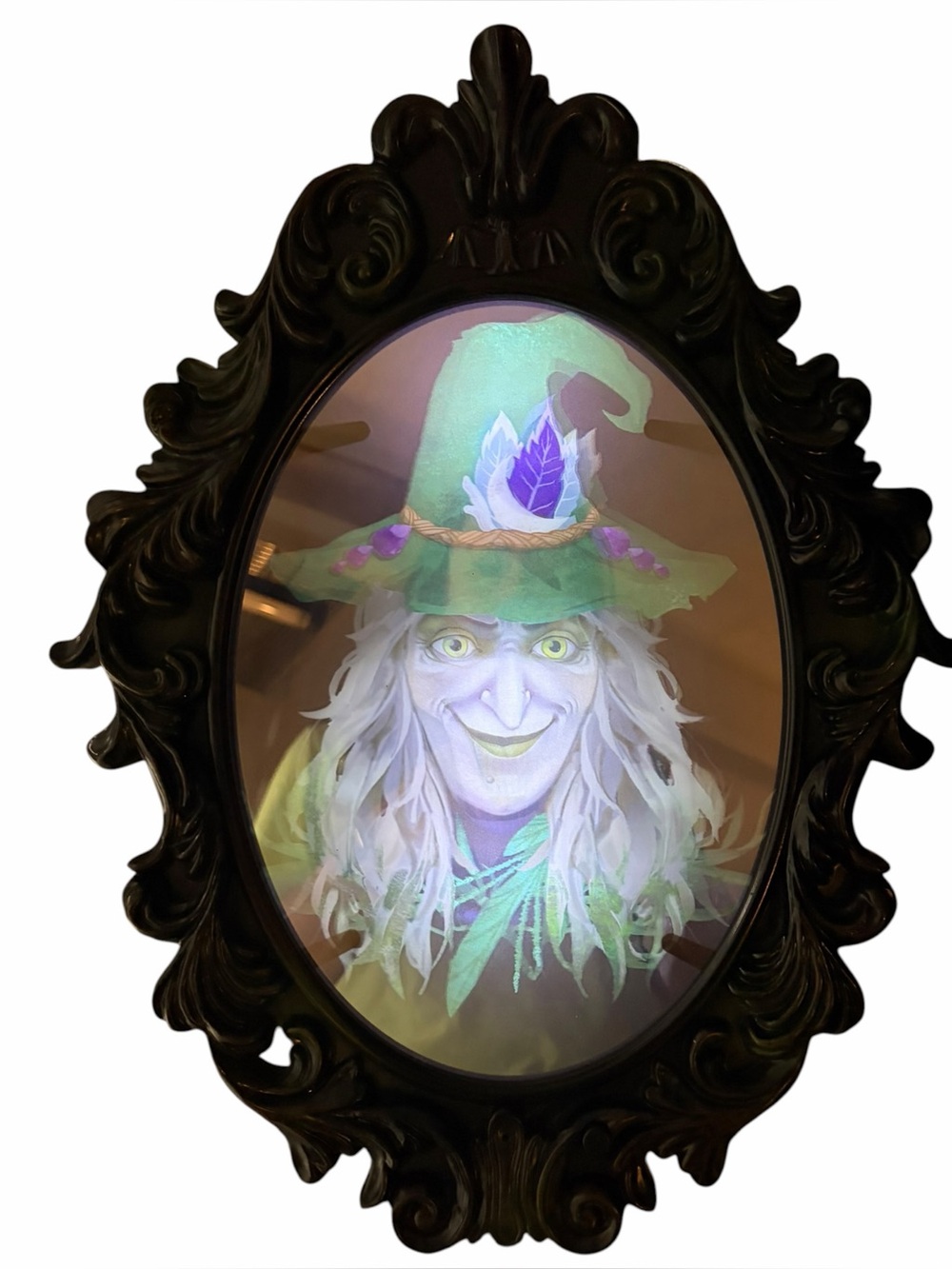 Animated Talking Witch Haunted Mirror Halloween Decor 17β Gothic Ornate Mirror